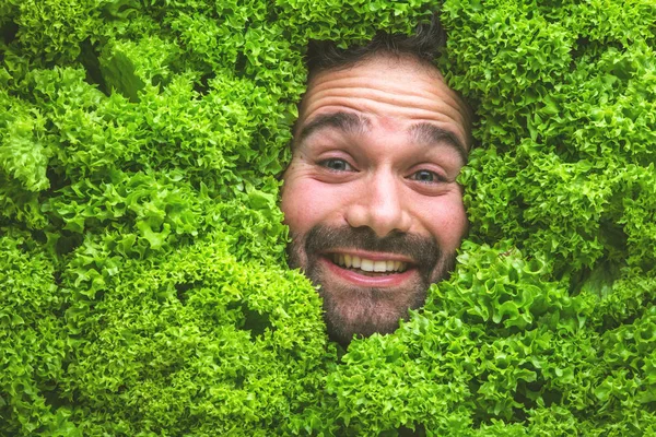 Homem Com Folhas Salada Conceito Para Indústria Alimentar Cara Homem — Fotografia de Stock