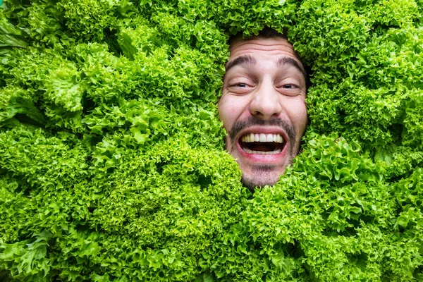 Emotional Young Man Posing Fresh Green Lettuce Leaves Healthy Eating — Stock Photo, Image