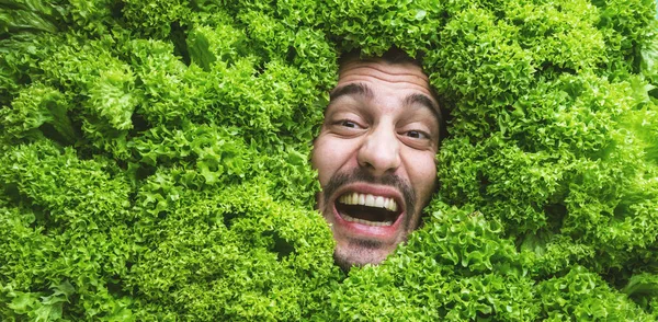 Эмоциональный Молодой Человек Позирует Свежими Зелеными Листьями Салата Концепция Здорового — стоковое фото
