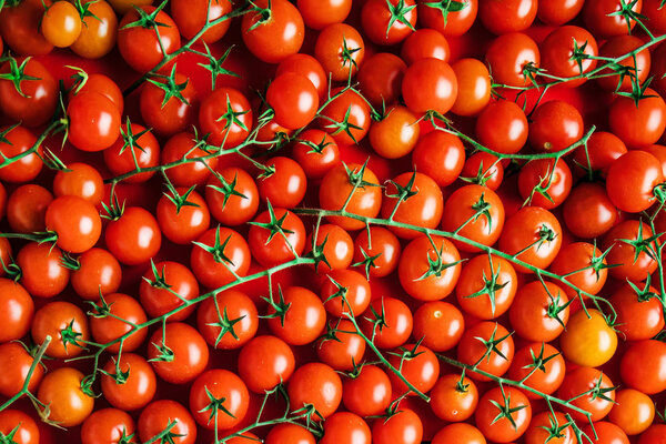 Plenty of fresh ripe red cherry tomatoes, full frame background