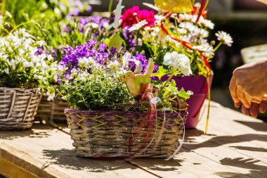 çiçekçi veya kreşte çalışan çiçekçi veya bahçıvanın yakın çekim kısmi görünümü