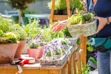 Kadın çiçekçi ya da çiçekçi dükkanı veya kreş, kırpılmış atış çalışma bahçıvan