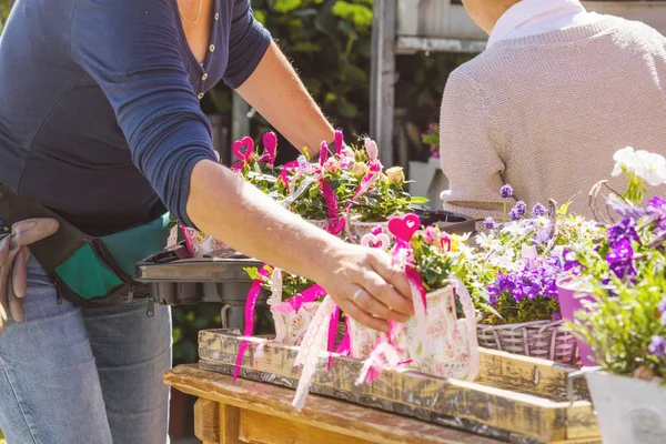 Çiçekçi veya kreşte çalışan kadın çiçekçiler veya bahçıvanlar, kırpılmış shot