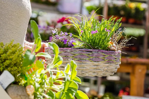 çiçekçi de çalışan kadın çiçekçi veya bahçıvan kırpılmış çekim 