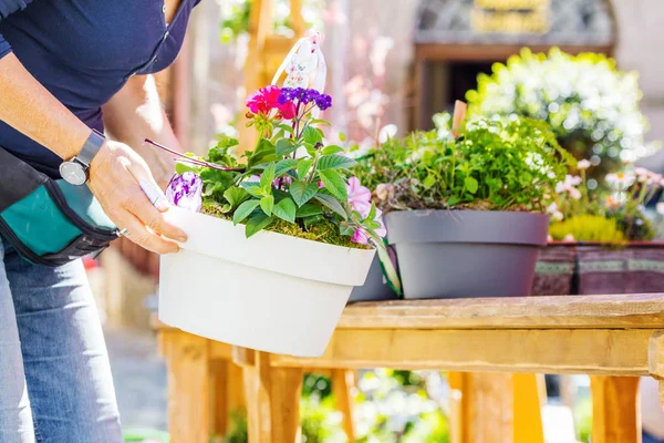 Plan Recadré Fleuriste Jardinière Travaillant Dans Magasin Fleurs — Photo