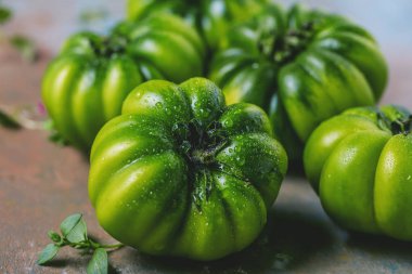 taze yeşil ıslak domates gri yüzeyi görmek