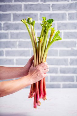 elinde kısmi görmek taze ravent tutan kişi takip ediyor