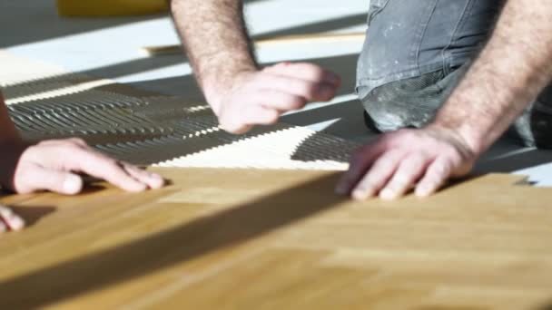 Cropped Shot Male Workers Process Parquet Alignment — Stock Video
