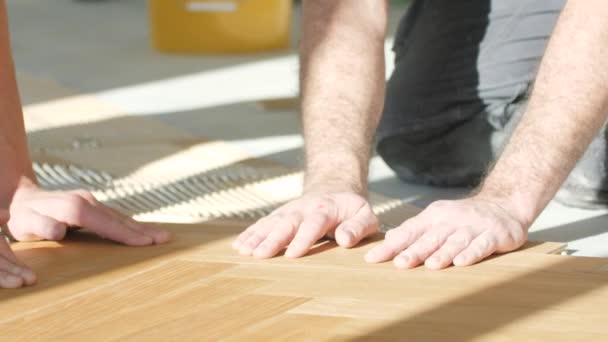 Cropped Shot Male Workers Process Parquet Alignment — Stock Video