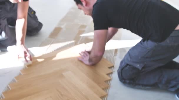 Lavoratori Che Installano Pavimenti Parquet Quercia Durante Miglioramento Domestico — Video Stock