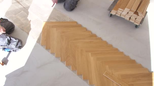 Lavoratori Che Installano Pavimenti Parquet Quercia Durante Miglioramento Domestico — Video Stock