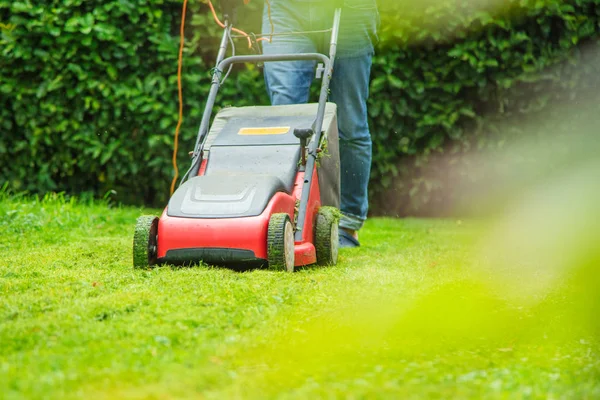 Partial View Man Mowing Green Grass Garden Summertime — Stock Photo, Image