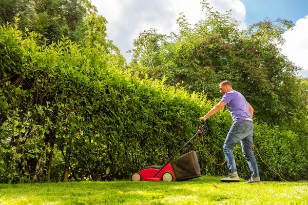 Hombre Cortando Césped Jardín Durante Día Soleado —  Fotos de Stock