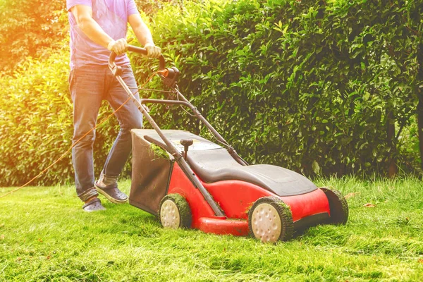 Recortado Tiro Hombre Siega Hierba Verde Jardín Verano — Foto de Stock