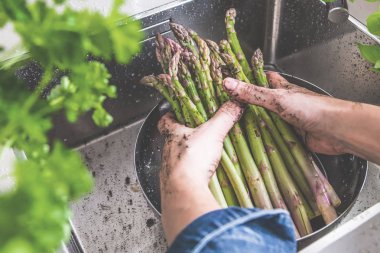 taze kuşkonmaz mutfak lavaboda yıkama toprak erkek elinde kadeh kırpılmış