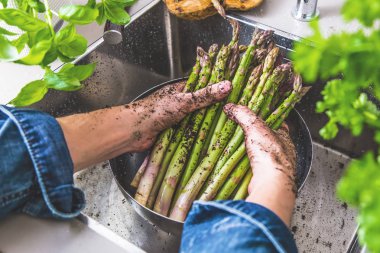 taze kuşkonmaz mutfak lavaboda yıkama toprak erkek elinde kadeh kırpılmış