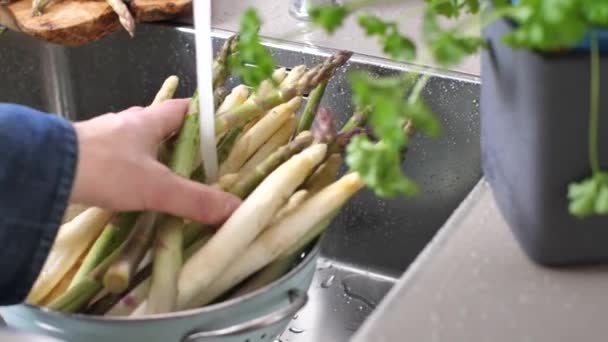 Sebagian Pandangan Orang Mencuci Asparagus Matang Segar Tempat Cuci Piring — Stok Video