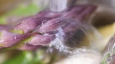 mutfak lavaboda yıkama olgun taze kuşkonmaz yakından görmek 