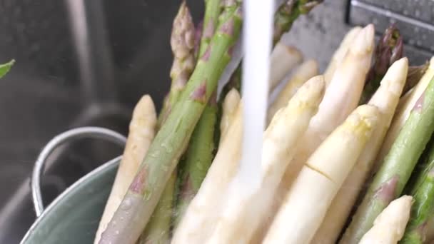 Vista Close Fresco Espargos Verdes Brancos Maduros Lavagem Pia Cozinha — Vídeo de Stock