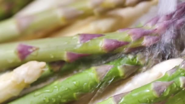 Vista Ravvicinata Del Lavaggio Asparagi Freschi Maturi Nel Lavello Della — Video Stock