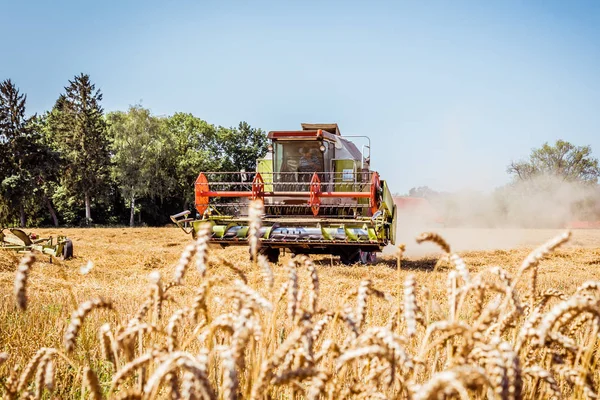 Moissonneuse Batteuse Agricole Pour Récolter Des Céréales — Photo