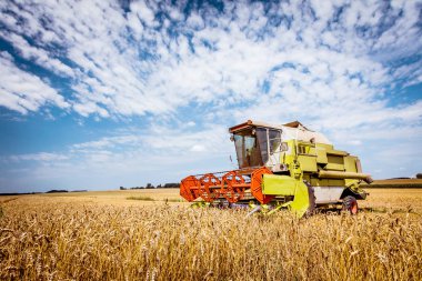 buğday tarlasında tahıl bitkileri hasat tarım makinesi