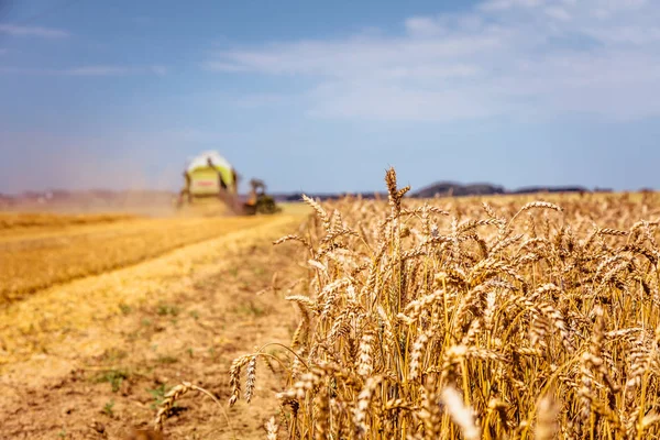 Landmaschinen Für Die Ernte Auf Dem Weizenfeld — Stockfoto