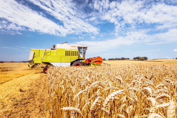 Agricultural Machine Harvesting Wheat Field — Stock Photo, Image