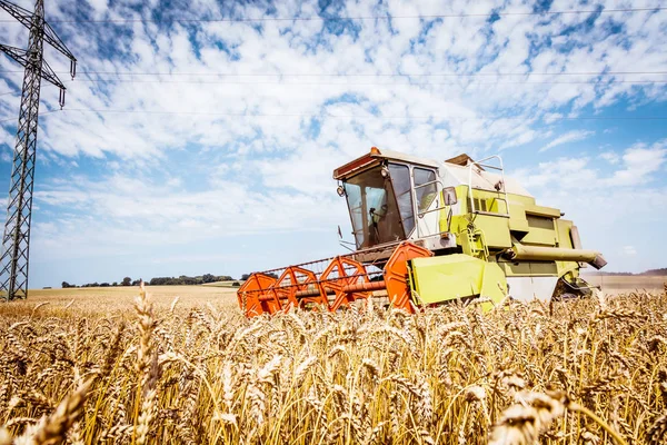 Máquina Agrícola Cosechando Cultivos Grano Campo Trigo —  Fotos de Stock