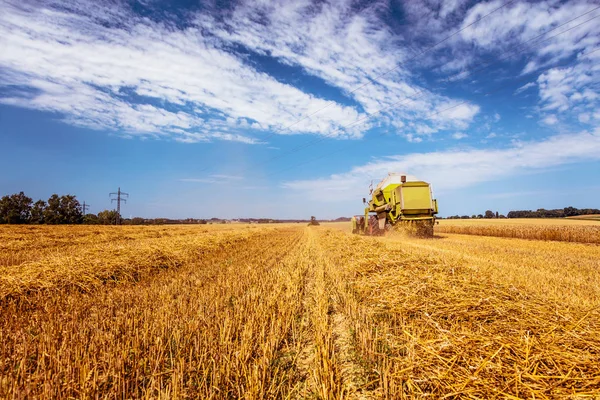 Agricultural Machine Harvesting Wheat Field Stock Photo