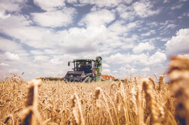 Tarlada hasat için tarım makinesi