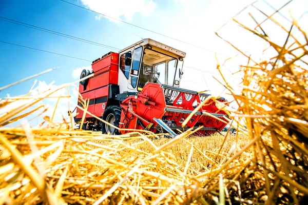 農場で穀物作物を収穫するための農業機械 低角度ビュー — ストック写真