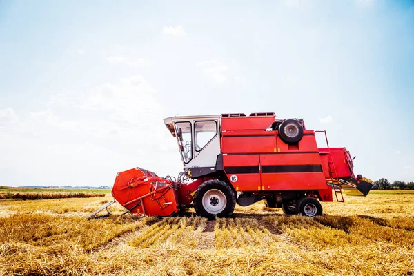 agricultural machine harvesting grain crops on wheat field