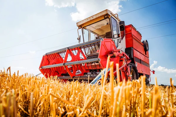 Buğday Tarlasında Tahıl Bitkileri Hasat Tarım Makinesi — Stok fotoğraf