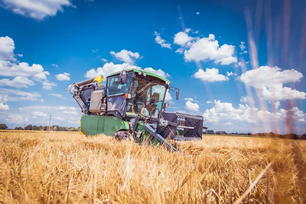 agricultural machine harvesting grain crops on wheat field