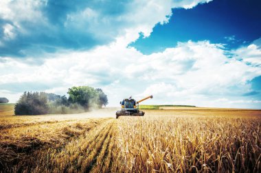 buğday tarlasında hasat için tarım makinesi