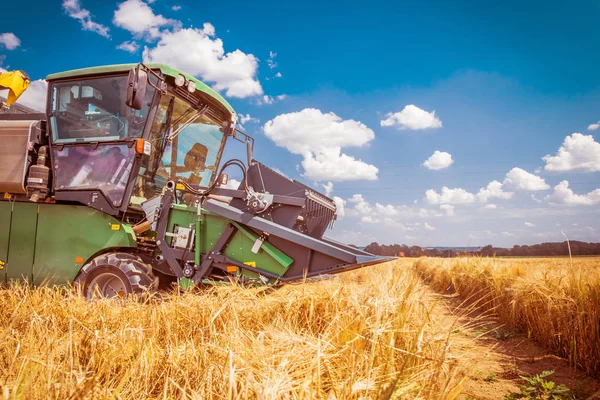 Agricultural Machine Harvesting Grain Crops Farm Field — Stock Photo, Image