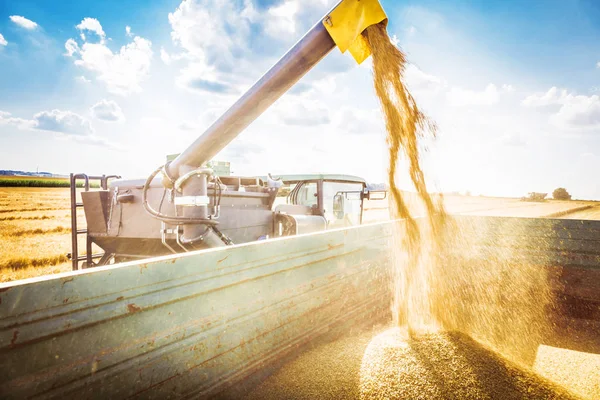 Agricultural Machine Harvesting Grain Crops — Stock Photo, Image