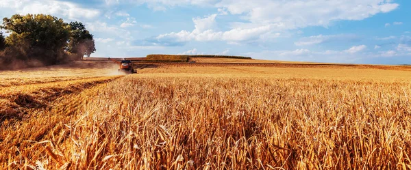 小麦畑で収穫するための農業機械 — ストック写真