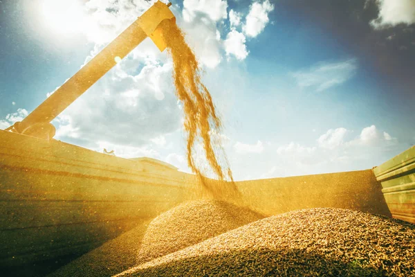 Landmaschinen Für Die Getreideernte — Stockfoto