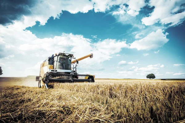 畑で穀物作物を収穫するための農業機械 — ストック写真