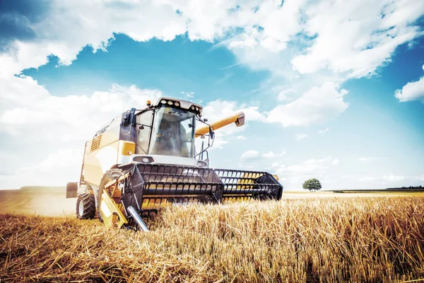 Agricultural Machine Harvesting Grain Crops Field — Stock Photo, Image