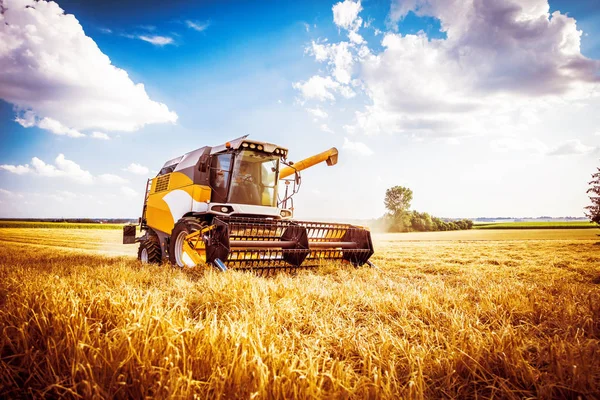 Sonbahar Gününde Tarlada Tahıl Bitkileri Hasat Için Tarım Makinesi — Stok fotoğraf