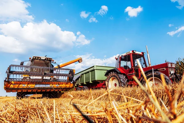 農場で穀物作物やトラクターを収穫するための農業機械 — ストック写真