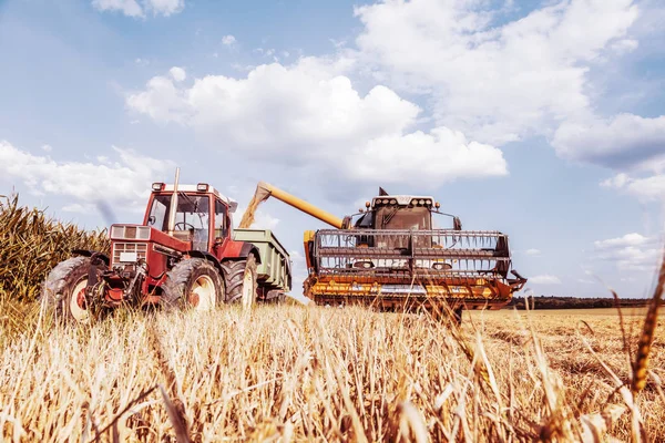 Landbouwmachine Voor Het Oogsten Van Graangewassen Tractor Landbouwgebied — Stockfoto