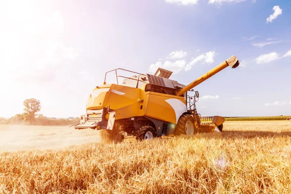ライ麦畑で穀物作物を収穫するための農業機械 — ストック写真