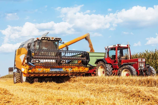 Agricultural Machine Harvesting Grain Crops Wheat Field — Stock Photo, Image