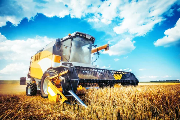 Agricultural Machine Harvesting Grain Crops Wheat Field — Stock Photo, Image