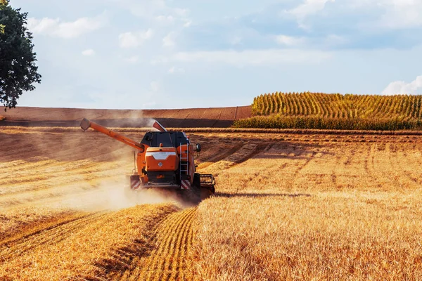 Γεωργική Μηχανή Για Συγκομιδή Καλλιεργειών Σιτηρών Αγροκτήματα — Φωτογραφία Αρχείου