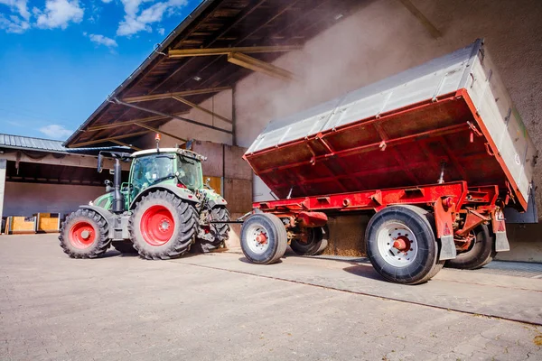 Čerstvě Sklizená Pšenice Vyložená Traktorem — Stock fotografie